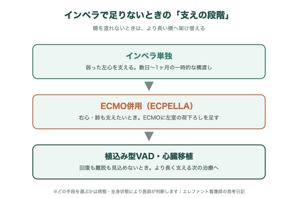 インペラで足りないときの支えの段階：インペラ単独→ECMO併用（ECPELLA）→植込み型VAD・心臓移植へと、より長く支える治療に移行する