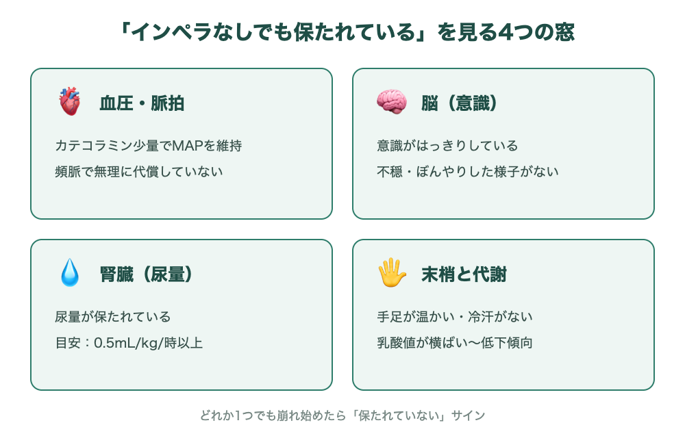 インペラなしでも血行動態が保たれているかを見る4つの窓:血圧・脈拍、脳(意識)、腎臓(尿量)、末梢と代謝の図解