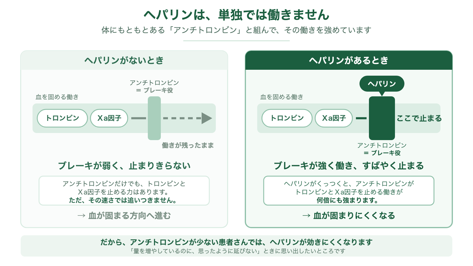 ヘパリンの作用のしくみを左右で比べた図。左「ヘパリンがないとき」はアンチトロンビンというブレーキが弱く、トロンビンとⅩa因子の働きが残ったまま進むため、血が固まる方向へ向かう。右「ヘパリンがあるとき」はヘパリンがアンチトロンビンに結合してブレーキが強く働き、トロンビンとⅩa因子の働きがそこで止まるため、血が固まりにくくなる。アンチトロンビンが少ない患者ではヘパリンが効きにくい。