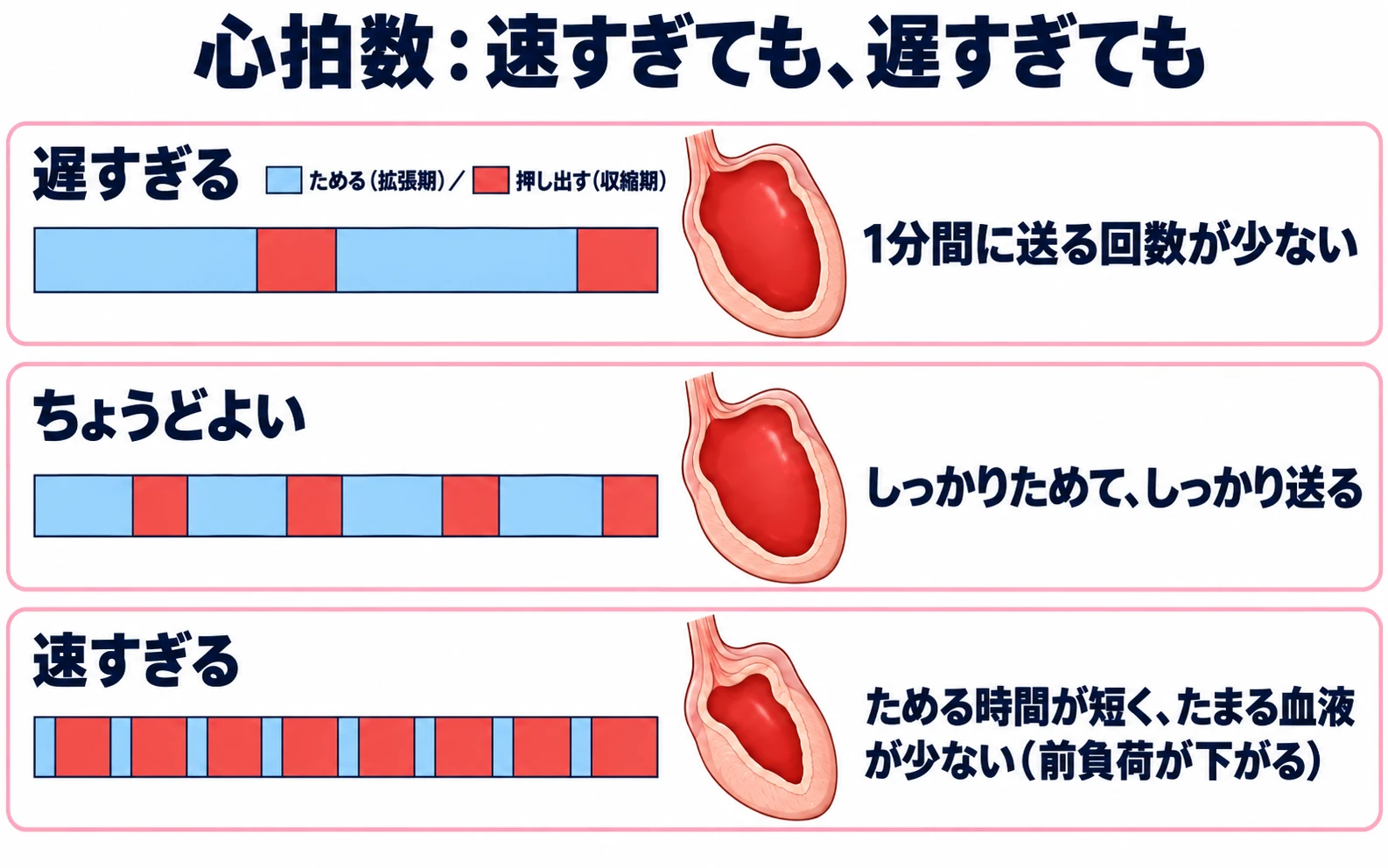 心拍数が遅すぎるとき・ちょうどよいとき・速すぎるときを比べた図。3段とも同じ長さの横の帯に、ためる（拡張期、水色）と押し出す（収縮期、赤）がくり返し並ぶ。遅すぎる段は回数が少なく、右の左心室は血液で満たされている（1分間に送る回数が少ない）。ちょうどよい段は、ほどよい回数で、左心室は満たされている（しっかりためて、しっかり送る）。速すぎる段は回数が多く、ためる部分がとても短く、左心室にたまる血液が少ない（ためる時間が短く、たまる血液が少ない、前負荷が下がる）。