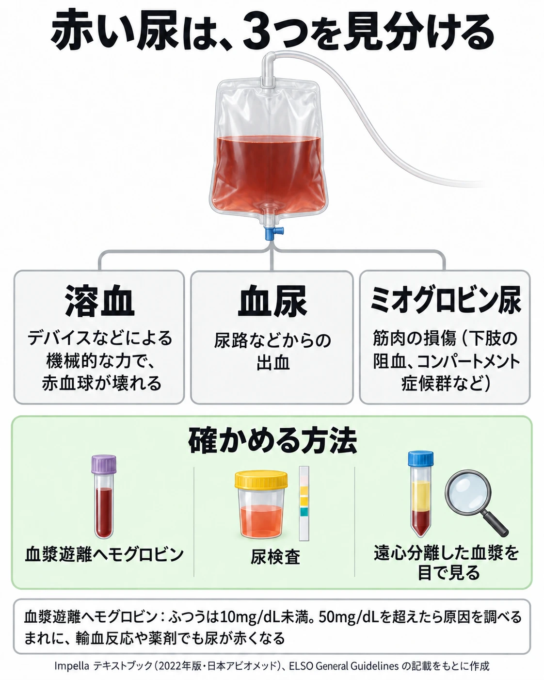 赤い尿の原因を見分ける図。赤褐色の尿がたまった採尿バッグから、3つの原因に分かれる。溶血:デバイスなどによる機械的な力で赤血球が壊れる。血尿:尿路などからの出血。ミオグロビン尿:筋肉の損傷(下肢の阻血、コンパートメント症候群など)。確かめる方法は、血漿遊離ヘモグロビン、尿検査、遠心分離した血漿を目で見ること。血漿遊離ヘモグロビンはふつう10mg/dL未満で、50mg/dLを超えたら原因を調べる。まれに輸血反応や薬剤でも尿が赤くなる。
