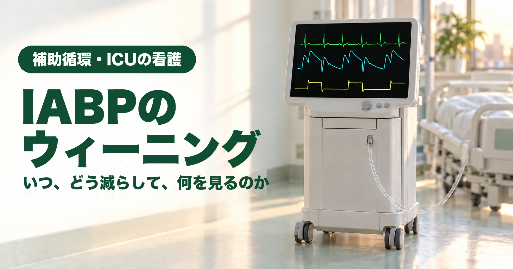 記事「IABPのウィーニング|いつ、どう減らして、何を見るのか」のアイキャッチ画像。夕方のやわらかい光が差し込むICUで、ベッドサイドのIABPの駆動装置の画面に、心電図(緑)、動脈圧波形(水色)、バルーン内圧波形(黄色)が補助比率1:2で映っている。左側に「補助循環・ICUの看護」「IABPのウィーニング」「いつ、どう減らして、何を見るのか」の文字。