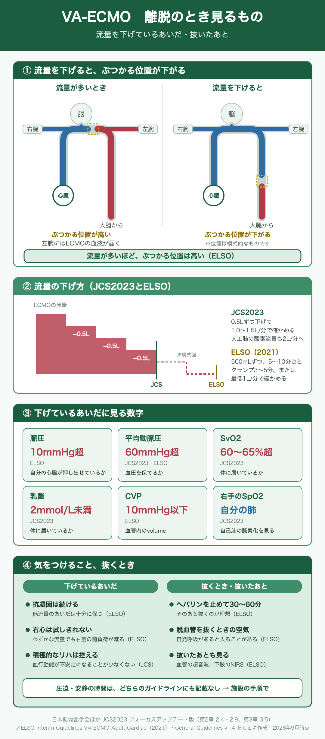 VA-ECMOの離脱のとき見るものを示した早見図。①流量を下げると、ぶつかる位置が下がる。流量が多いときは、自分の心臓から出た血液（青）とECMOの血液（赤）が大動脈弓の途中でぶつかり、左腕にはECMOの血液が届く。流量を下げると、ぶつかる位置は下行大動脈のほうへ下がる（位置は模式的）。流量が多いほど、ぶつかる位置は高い（ELSO）。②流量の下げ方。JCS2023は0.5Lずつ下げて1.0〜1.5L/分で確かめ、人工肺の酸素流量も2L/分へ下げる。ELSO（2021）は500mLずつ5〜10分ごとに下げ、クランプして3〜5分、または最低1L/分で確かめる。③下げているあいだに見る数字。脈圧10mmHg超（ELSO）、平均動脈圧60mmHg超（JCS2023・ELSO）、SvO2 60〜65%超（JCS2023）、乳酸2mmol/L未満（JCS2023）、CVP 10mmHg以下（ELSO）、右手のSpO2で自己肺の酸素化を見る（JCS2023）。④気をつけること、抜くとき。下げているあいだは抗凝固を続け、右心は試しきれず、積極的なリハは控える。抜くときはヘパリンを止めて30〜60分後が理想で、脱血管を抜くとき自発呼吸があると空気が入ることがある。抜いたあとも血管の超音波と下肢のNIRSで見る。圧迫・安静の時間はどちらのガイドラインにも記載がなく、施設の手順による。